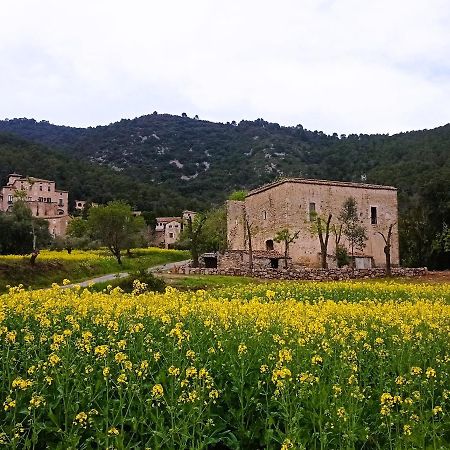 El Castell De Seguero Lägenhet Beuda Exteriör bild