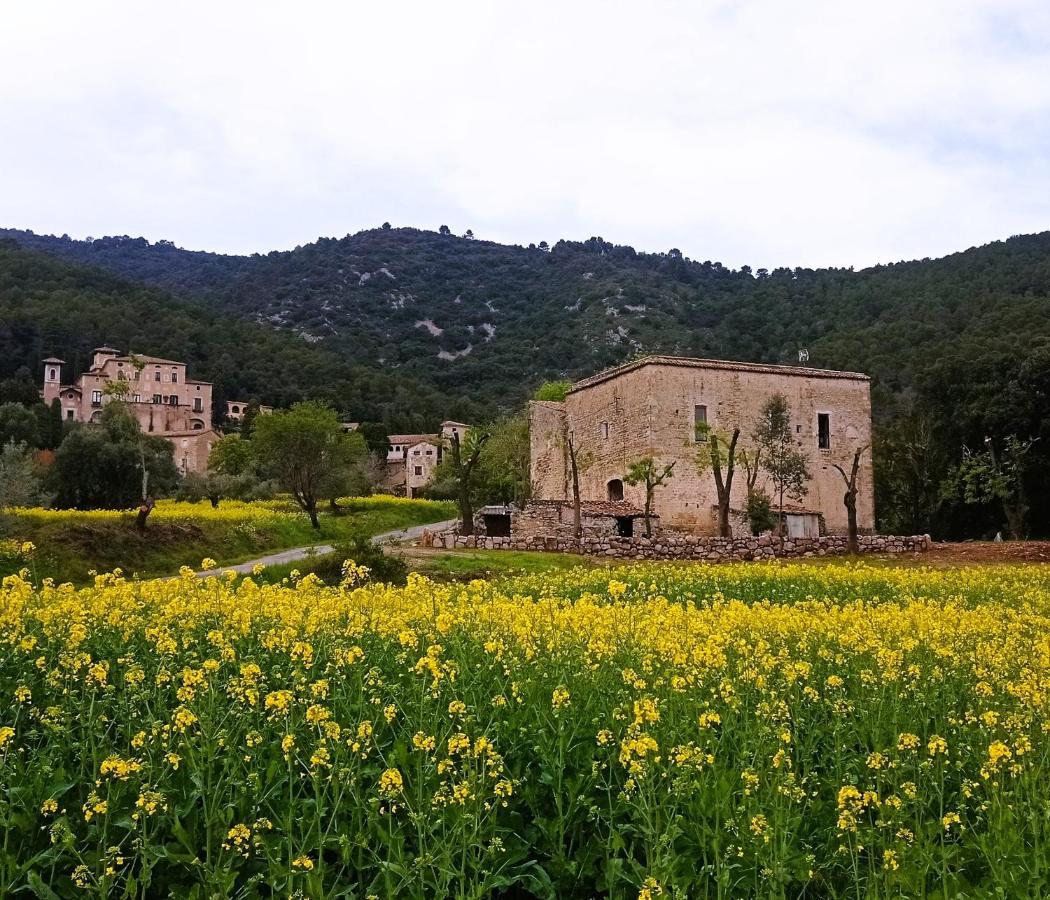 El Castell De Seguero Lägenhet Beuda Exteriör bild