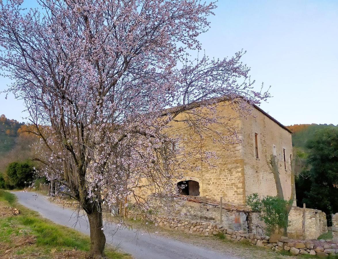 El Castell De Seguero Lägenhet Beuda Exteriör bild